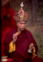 Namka Drimed Rinpoche